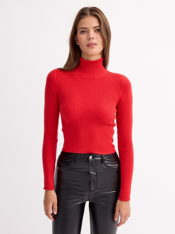 Basic pullover color turtleneck