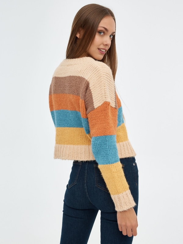 Striped chenille sweater multicolor middle back view