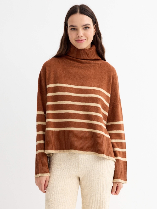 Turtleneck crop sweater brown middle front view